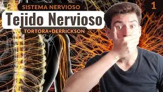 TODO lo que un ESTUDIANTE debe saber del TEJIDO NERVIOSO (Tortora+Derrickson)