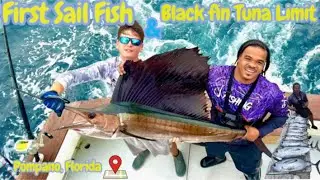 First Sailfish Ever! + Blackfin Tuna Limit | Pompano Beach, Florida Offshore Action!