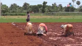 Farms | Vanakkam Thainadu | Ep 247 Part 2 | IBC Tamil TV