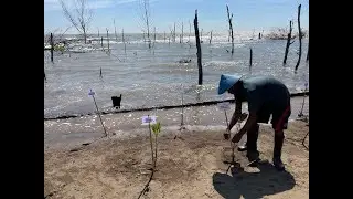 Adaptation Fund Country Exchange in Semarang and Pekalongan, Indonesia