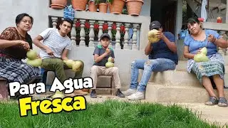 Increíble Lo que cuesta Preparar Un Tecomate / Listo para mantener el Agua Fresca