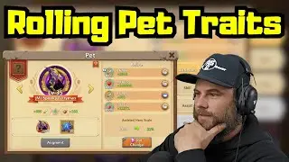 Новые черты характера питомцев в бесплатной игре | Castle Clash