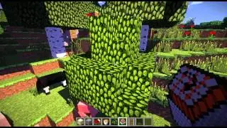 Pr&eacute;santation ShaderPack Ziipzaaps high