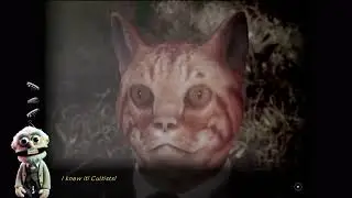 日本語 ENG ⁉️🥸🔎Cat Detective Be Detecting🔍🥸⁉️