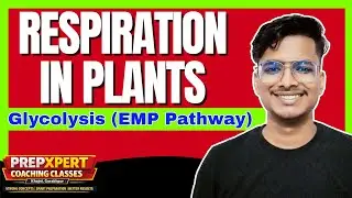 Respiration in Plants | Do Plants Breathe? + Glycolysis Explained | Class 11 Biology