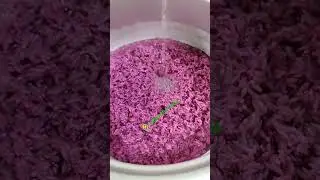 pink rice #cheflife #shorts #new #newshorts #youtubeshorts #ytshortsindia #goodfood #headshot #eat