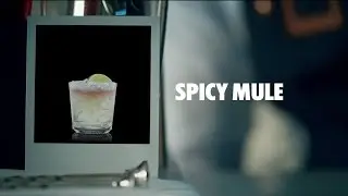 SPICY MULE DRINK RECIPE - HOW TO MIX