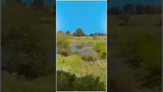 Ravi Vasuniya RVS |||  #NEW #kisan #INDIAKISAN #TRENDVIDEO