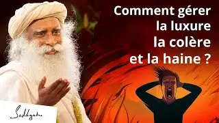 Comment gérer le désir, la colère et la haine ? #emotions