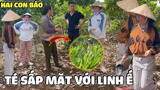 Hải Ka Yến Báo Té Xanh Mặt Té Lên Té Xuống Với Màn Trã Đũa Của Linh Ế | Hải Ka Vlogs