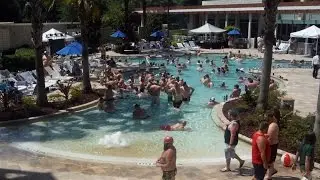 Tidal Wave 2016