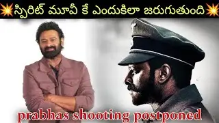 Prabhas spirit shooting part postponed because?