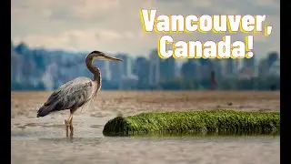 Exploring the BEST of Vancouver Canada!