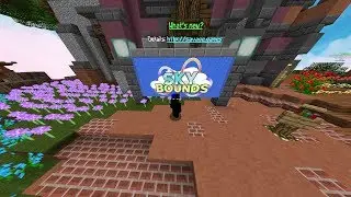 Skybounds // Last fight against a trashtalker on TFI + getting ganked