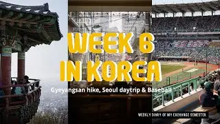 First Baseball Game, Karaoke & Hiking Adventure in Korea | Week 6 Vlog 🇰🇷✨ || It's me Nessy