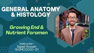 Growing End & Direction of Nutrient Foramen | Basic General Anatomy of Bones