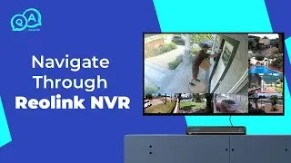 Навигация по Reolink NVR &mdash; Обзор Reolink NVR | Вы спрашиваете, мы отвечаем