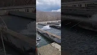 تاران کوچه به کوچه
