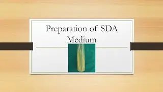 SDA Preparation