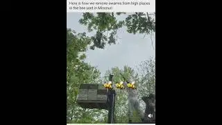 that's not wearing bullet  proof  vest