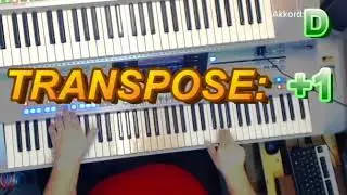 Wetten Dass Musik Play mit Cam
