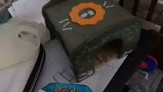 SHOWING MY RAREST POK&Eacute;MON CARDS!