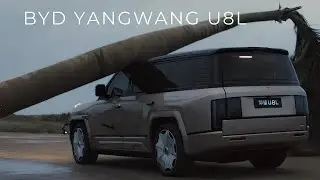 A large palm tree falls onto a car and it is safe: BYD Yangwang U8L