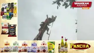 Firefighters rescue youth trapped on top of a rambutan tree in Penang