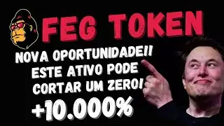 FEG TOKEN - NOVA OPORTUNIDADE! MOEDA VAI EXPLODIR E CORTAR UM ZERO!