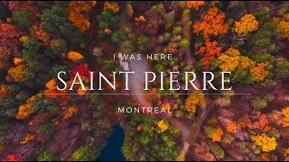 Best Fall Color - Montreal City Week End Drive - Mahsa Amini protest near Metro Station