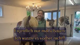 Von der spontanen Begegnung zum perfekten Pferd: Chrissis emotionale Reise zu &THORN;ruma