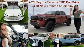 Let's Drive the 2024 Toyota Tacoma TRD Pro! + 10 New Toyota Vehicles At The OC Fair + 2025 Camry!