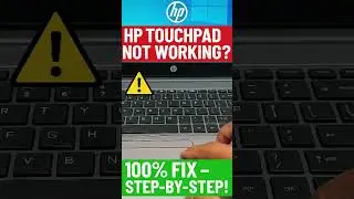 Laptop Mouse & Keyboard FIXED