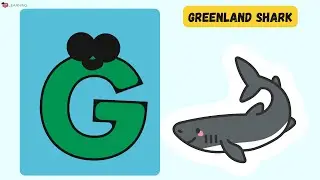 ABC Camouflage Sea Creatures 🐠 | A to Z Hidden Ocean Animals Song for Kids | UZR Learning &Omega;#abcd