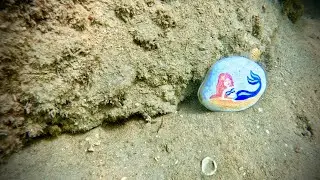Blue Heron Bridge Dive Travel 🤙 Riviera Beach, Florida