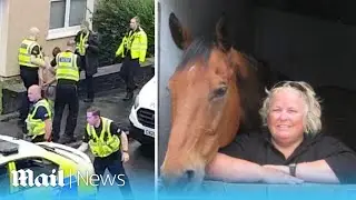 'He is covered in blood': Moment Brian Whitelock is arrested after killing Wendy Buckney in her home