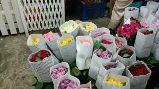Flower Survey in Sg