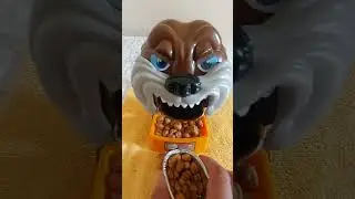 #pakainin ko sya ng boy bawang #funny #video  #angry #dog #viral #trending #youtube #shorts