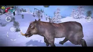 ١ يناير ٢٠٢٦
