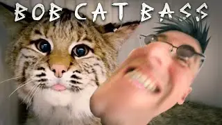 Has the Cat got your Tongue?