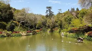 Прогулка по парку Yildiz, Стамбул, Турция. Istanbul. Parks. Yildiz Park