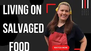 Surviving Salvaged Food: You Won't Believe What It Looks Like!