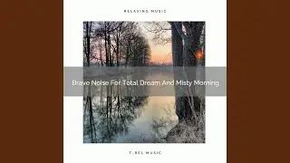 Brave Noise For Total Dream And Misty Morning