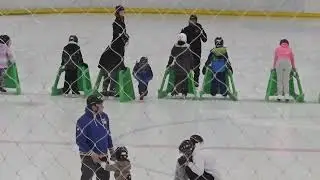 Skating lesson