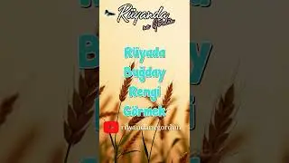 R&uuml;yada Buğday Rengi G&ouml;rmek
