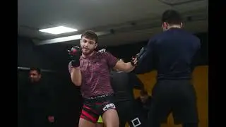 Will Doyle // 4K UHD // Predators MMA and BJJ // @brokenbonesphotography // VALE TUDO 2024