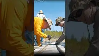This is How Miniature Railroads Actually Get Built #shorts #train #construction