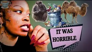 Eat with Que Visits dirty zoo in Abuja what she saw would make you cry!!!!