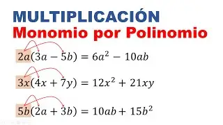 Multiplicacion de monomio por polinomio ejercicios resueltos