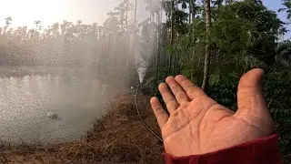 WHY WE NEED  WATER FOR BLACK PEPPER PLANTS IN JANUARY